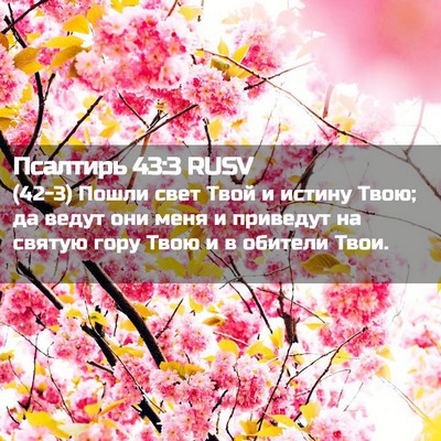Picture 02 - Псалтирь 43:3 RUSV - (42-3) Пошли свет Твой и - Bible Verse Picture
