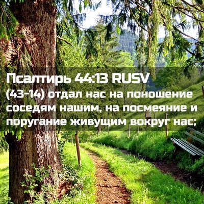 Picture 02 - Псалтирь 44:13 RUSV - (43-14) отдал нас на поношение - Bible Verse Picture