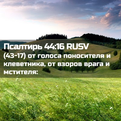 Picture 02 - Псалтирь 44:16 RUSV - (43-17) от голоса поносителя и - Bible Verse Picture