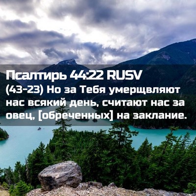 Picture 02 - Псалтирь 44:22 RUSV - (43-23) Но за Тебя умерщвляют - Bible Verse Picture