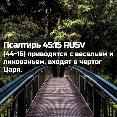 Picture 02 - Псалтирь 45:15 RUSV - (44-16) приводятся с весельем - Bible Verse Picture
