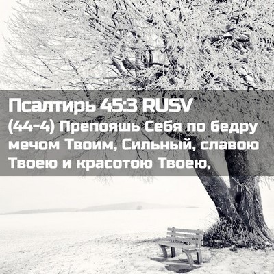 Picture 02 - Псалтирь 45:3 RUSV - (44-4) Препояшь Себя по бедру - Bible Verse Picture