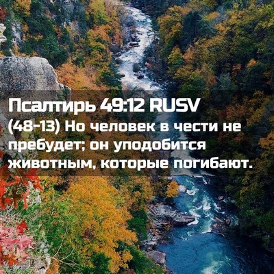 Picture 02 - Псалтирь 49:12 RUSV - (48-13) Но человек в чести не - Bible Verse Picture