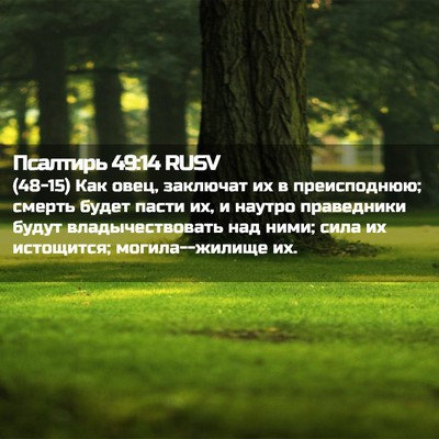 Picture 02 - Псалтирь 49:14 RUSV - (48-15) Как овец, заключат их в - Bible Verse Picture