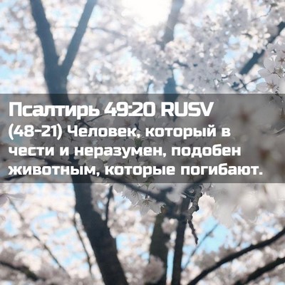 Picture 02 - Псалтирь 49:20 RUSV - (48-21) Человек, который в - Bible Verse Picture