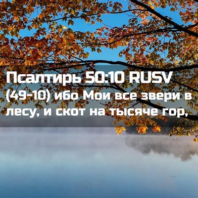 Picture 02 - Псалтирь 50:10 RUSV - (49-10) ибо Мои все звери в - Bible Verse Picture