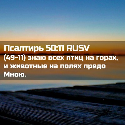 Picture 02 - Псалтирь 50:11 RUSV - (49-11) знаю всех птиц на - Bible Verse Picture