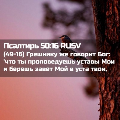 Picture 02 - Псалтирь 50:16 RUSV - (49-16) Грешнику же говорит - Bible Verse Picture