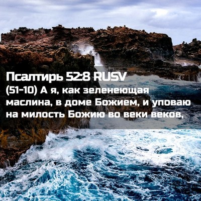 Picture 02 - Псалтирь 52:8 RUSV - (51-10) А я, как зеленеющая - Bible Verse Picture