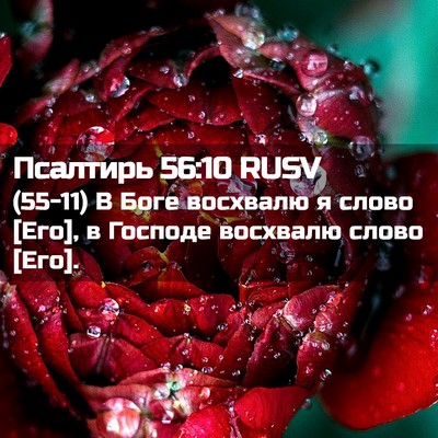 Picture 02 - Псалтирь 56:10 RUSV - (55-11) В Боге восхвалю я - Bible Verse Picture