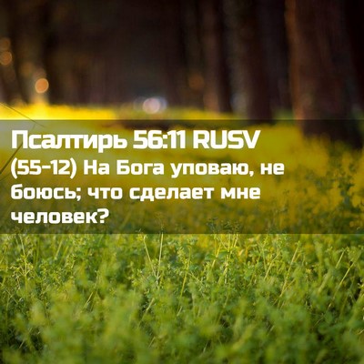 Picture 02 - Псалтирь 56:11 RUSV - (55-12) На Бога уповаю, не - Bible Verse Picture