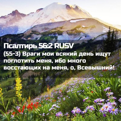 Picture 02 - Псалтирь 56:2 RUSV - (55-3) Враги мои всякий день - Bible Verse Picture