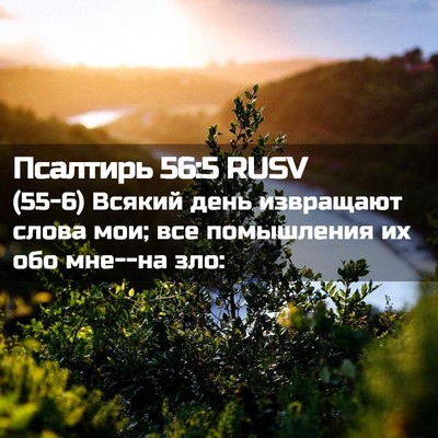 Picture 02 - Псалтирь 56:5 RUSV - (55-6) Всякий день извращают - Bible Verse Picture