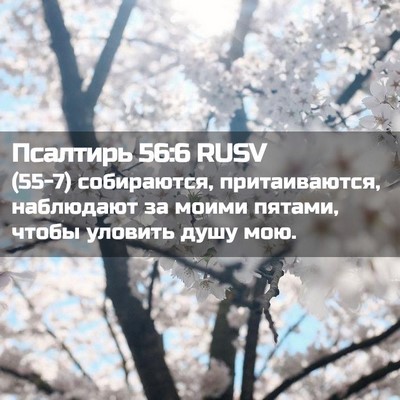 Picture 02 - Псалтирь 56:6 RUSV - (55-7) собираются, - Bible Verse Picture