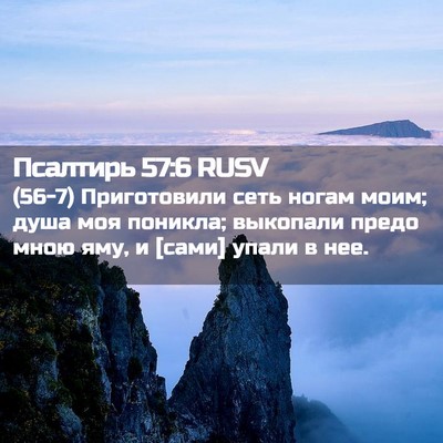 Picture 02 - Псалтирь 57:6 RUSV - (56-7) Приготовили сеть ногам - Bible Verse Picture