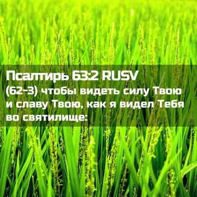 Picture 02 - Псалтирь 63:2 RUSV - (62-3) чтобы видеть силу Твою - Bible Verse Picture