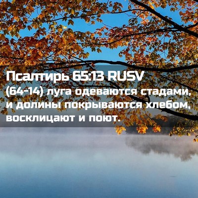 Picture 02 - Псалтирь 65:13 RUSV - (64-14) луга одеваются - Bible Verse Picture