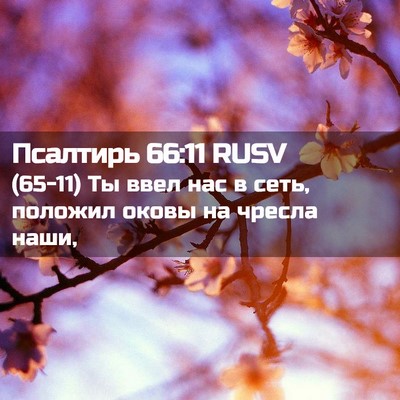 Picture 02 - Псалтирь 66:11 RUSV - (65-11) Ты ввел нас в сеть, - Bible Verse Picture