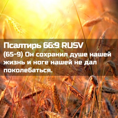 Picture 02 - Псалтирь 66:9 RUSV - (65-9) Он сохранил душе нашей - Bible Verse Picture