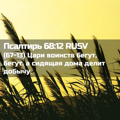 Picture 02 - Псалтирь 68:12 RUSV - (67-13) Цари воинств бегут, - Bible Verse Picture