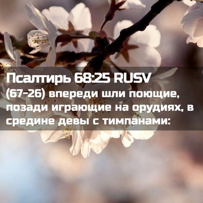 Picture 02 - Псалтирь 68:25 RUSV - (67-26) впереди шли поющие, - Bible Verse Picture