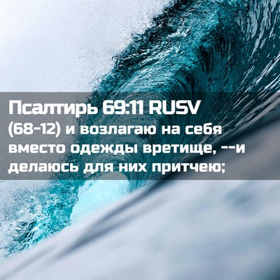 Picture 02 - Псалтирь 69:11 RUSV - (68-12) и возлагаю на себя - Bible Verse Picture