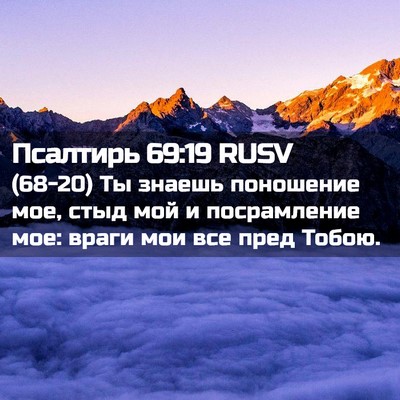Picture 02 - Псалтирь 69:19 RUSV - (68-20) Ты знаешь поношение - Bible Verse Picture
