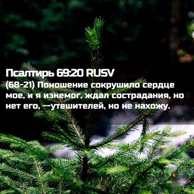 Picture 02 - Псалтирь 69:20 RUSV - (68-21) Поношение сокрушило - Bible Verse Picture
