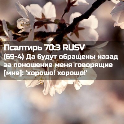 Picture 02 - Псалтирь 70:3 RUSV - (69-4) Да будут обращены - Bible Verse Picture