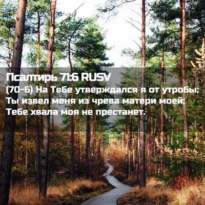 Picture 02 - Псалтирь 71:6 RUSV - (70-6) На Тебе утверждался я - Bible Verse Picture