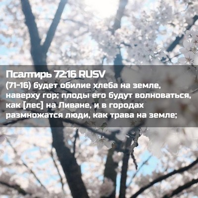 Picture 02 - Псалтирь 72:16 RUSV - (71-16) будет обилие хлеба на - Bible Verse Picture