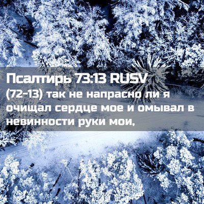 Picture 02 - Псалтирь 73:13 RUSV - (72-13) так не напрасно ли я - Bible Verse Picture