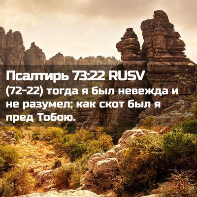 Picture 02 - Псалтирь 73:22 RUSV - (72-22) тогда я был невежда и - Bible Verse Picture