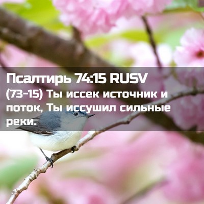 Picture 02 - Псалтирь 74:15 RUSV - (73-15) Ты иссек источник и - Bible Verse Picture