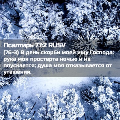 Picture 02 - Псалтирь 77:2 RUSV - (76-3) В день скорби моей ищу - Bible Verse Picture