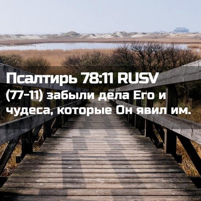 Picture 02 - Псалтирь 78:11 RUSV - (77-11) забыли дела Его и - Bible Verse Picture
