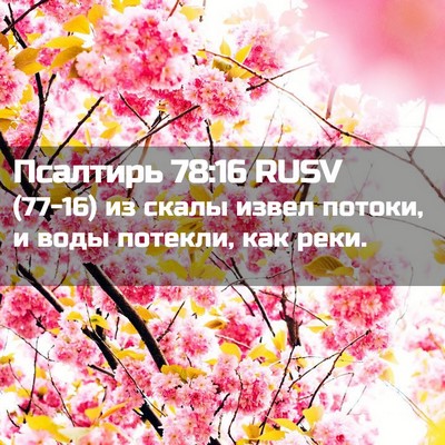 Picture 02 - Псалтирь 78:16 RUSV - (77-16) из скалы извел потоки, - Bible Verse Picture