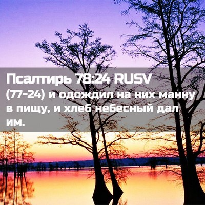 Picture 02 - Псалтирь 78:24 RUSV - (77-24) и одождил на них манну - Bible Verse Picture
