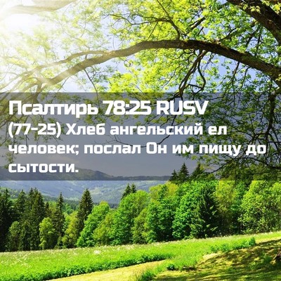 Picture 02 - Псалтирь 78:25 RUSV - (77-25) Хлеб ангельский ел - Bible Verse Picture