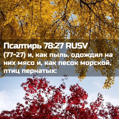 Picture 02 - Псалтирь 78:27 RUSV - (77-27) и, как пыль, одождил на - Bible Verse Picture