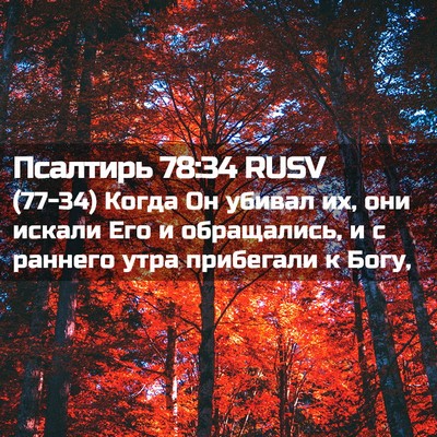Picture 02 - Псалтирь 78:34 RUSV - (77-34) Когда Он убивал их, они - Bible Verse Picture