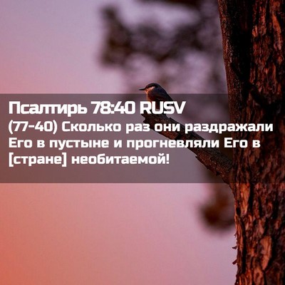 Picture 02 - Псалтирь 78:40 RUSV - (77-40) Сколько раз они - Bible Verse Picture