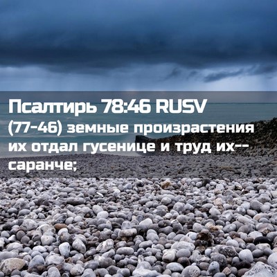 Picture 02 - Псалтирь 78:46 RUSV - (77-46) земные произрастения - Bible Verse Picture