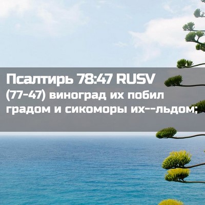 Picture 02 - Псалтирь 78:47 RUSV - (77-47) виноград их побил - Bible Verse Picture