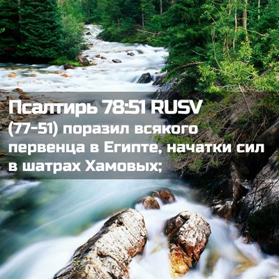 Picture 02 - Псалтирь 78:51 RUSV - (77-51) поразил всякого - Bible Verse Picture