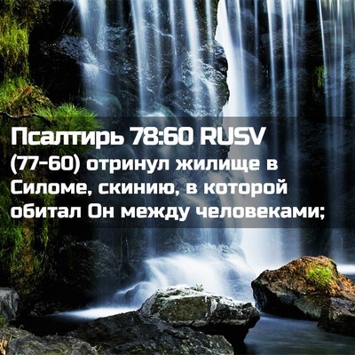 Picture 02 - Псалтирь 78:60 RUSV - (77-60) отринул жилище в - Bible Verse Picture