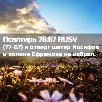 Picture 02 - Псалтирь 78:67 RUSV - (77-67) и отверг шатер Иосифов - Bible Verse Picture