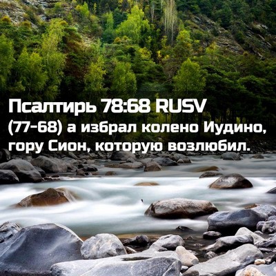 Picture 02 - Псалтирь 78:68 RUSV - (77-68) а избрал колено - Bible Verse Picture