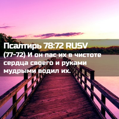 Picture 02 - Псалтирь 78:72 RUSV - (77-72) И он пас их в чистоте - Bible Verse Picture