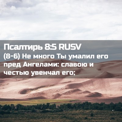 Picture 02 - Псалтирь 8:5 RUSV - (8-6) Не много Ты умалил его - Bible Verse Picture